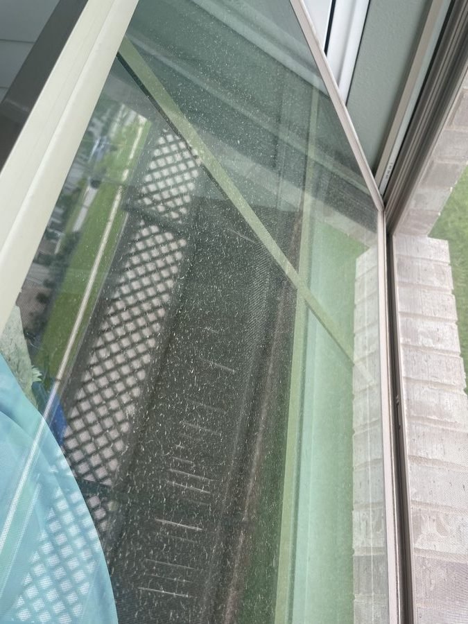 Window before cleaning — heavy debris and pollen buildup