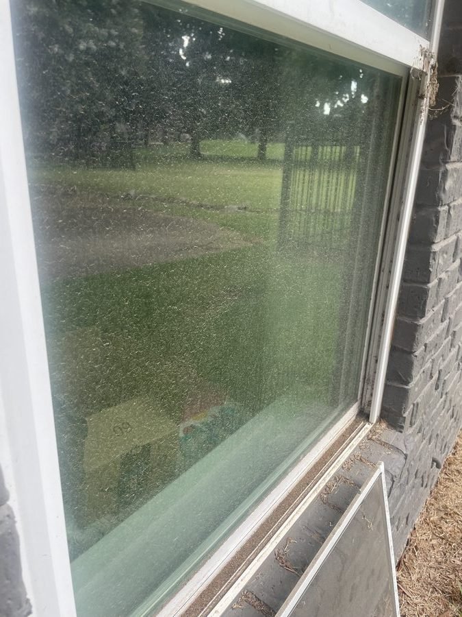 Skylight before cleaning — algae and heavy grime